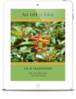 All Life Is Yoga: True Leadership (eBook)