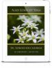 Alles Leben ist Yoga: Sri Aurobindo Ashram (eBook)