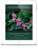 Alles Leben ist Yoga: Sri Aurobindos Vision – Fünf Träume (eBook)