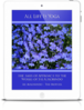 All Life Is Yoga: The Basis of Approach to the Works of Sri Aurobindo (eBook)