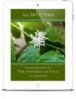 All Life Is Yoga: Introduction to “The Synthesis of Yoga” (eBook)