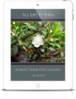 All Life Is Yoga: Forget Your Difficulties (eBook)