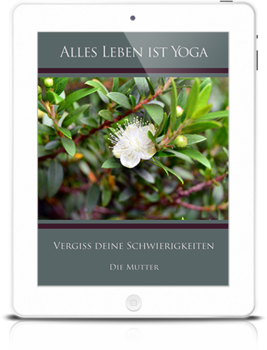 Alles Leben ist Yoga: Vergiss deine Schwierigkeiten (eBook)