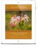 All Life Is Yoga: Constant Remembrance of the Mother (eBook)