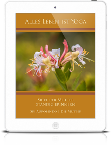 Alles Leben ist Yoga: Sich der Mutter ständig erinnern (eBook)