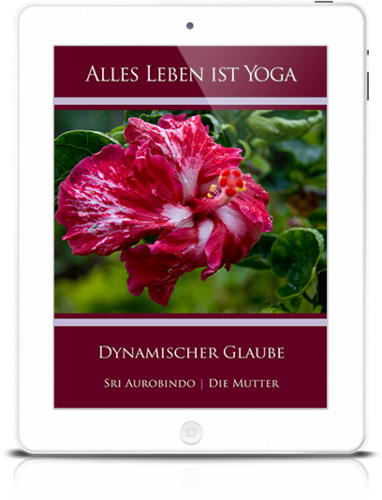Alles Leben ist Yoga: Dynamischer Glaube (eBook)